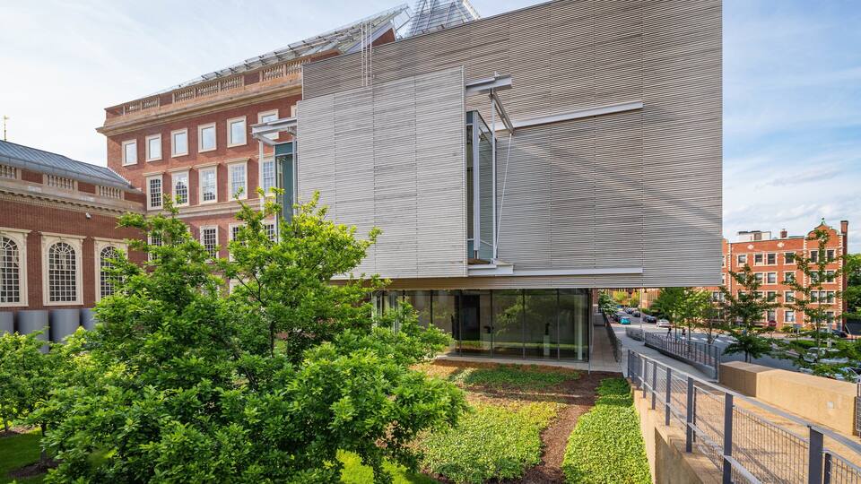 Harvard University Art Museums