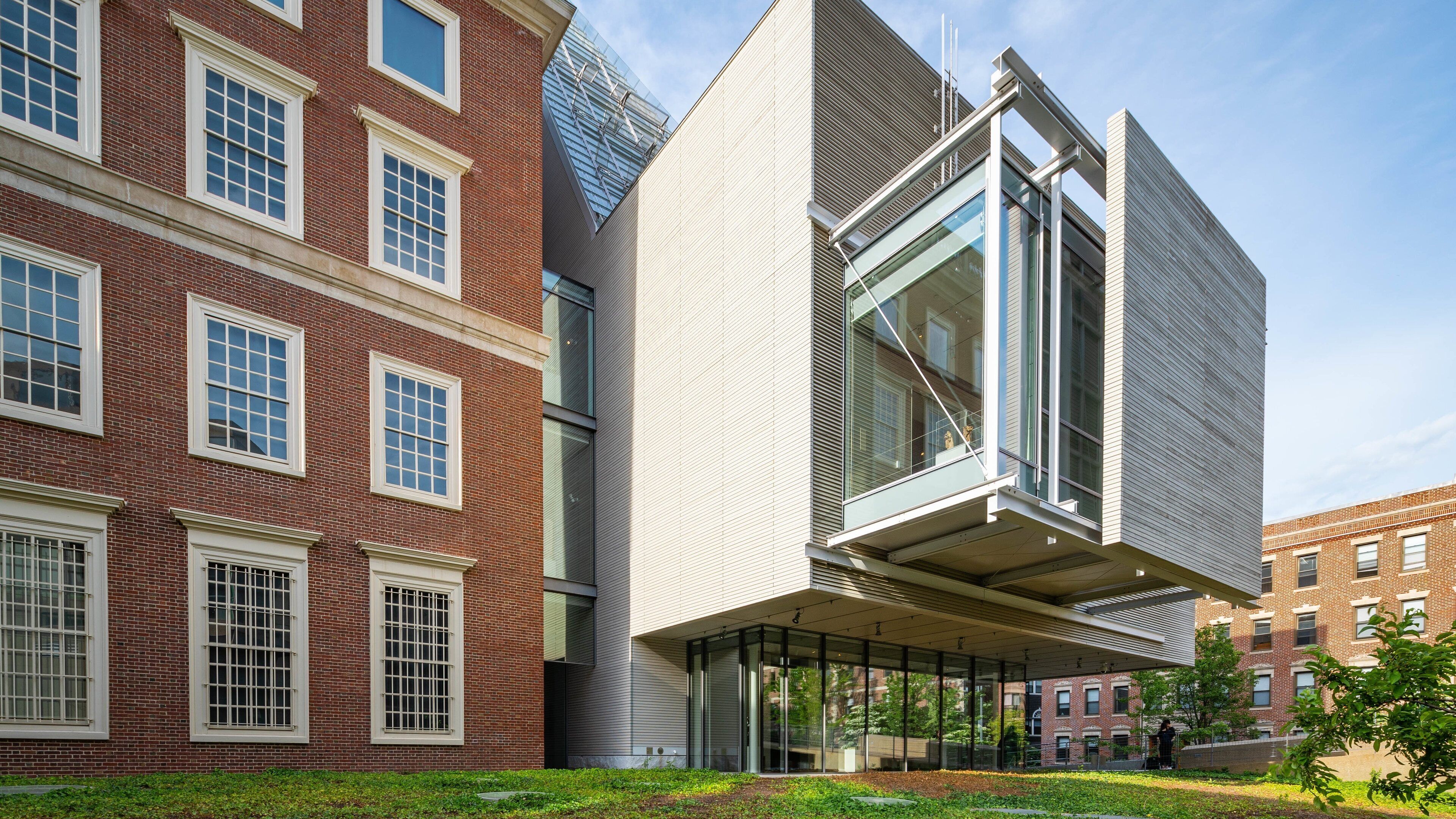 Harvard University Art Museums