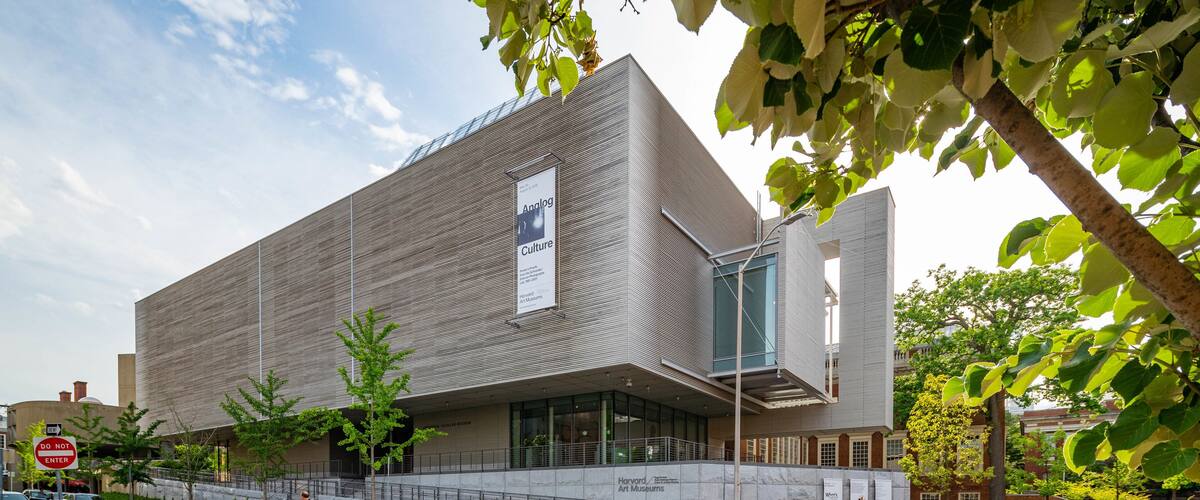 Harvard University Art Museums