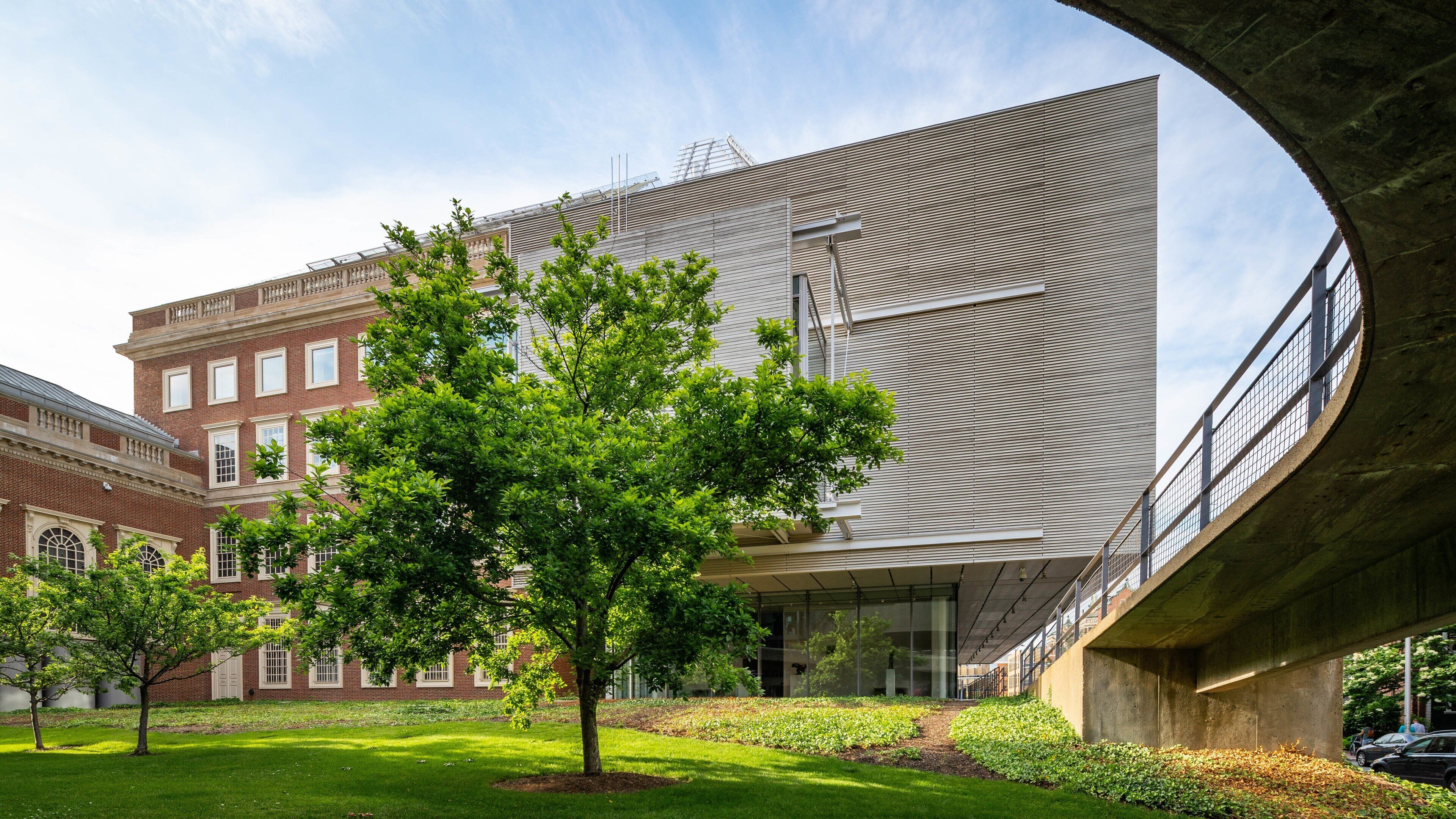 Harvard University Art Museums
