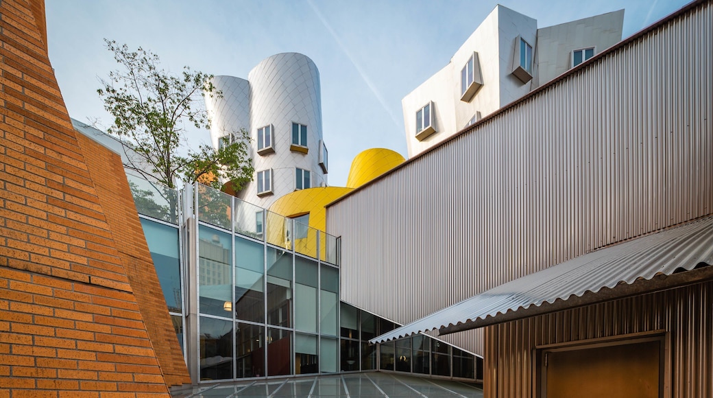 Massachusetts Institute of Technology which includes modern architecture