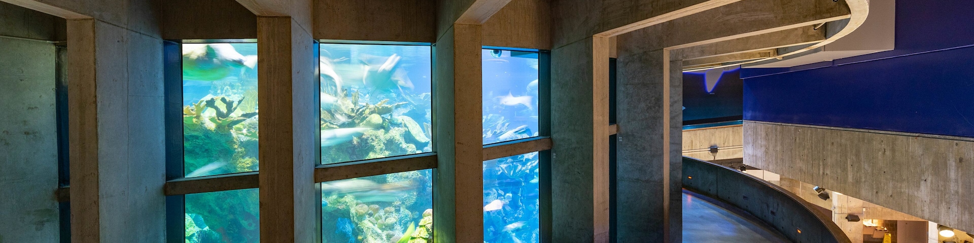 New England Aquarium which includes marine life and interior views