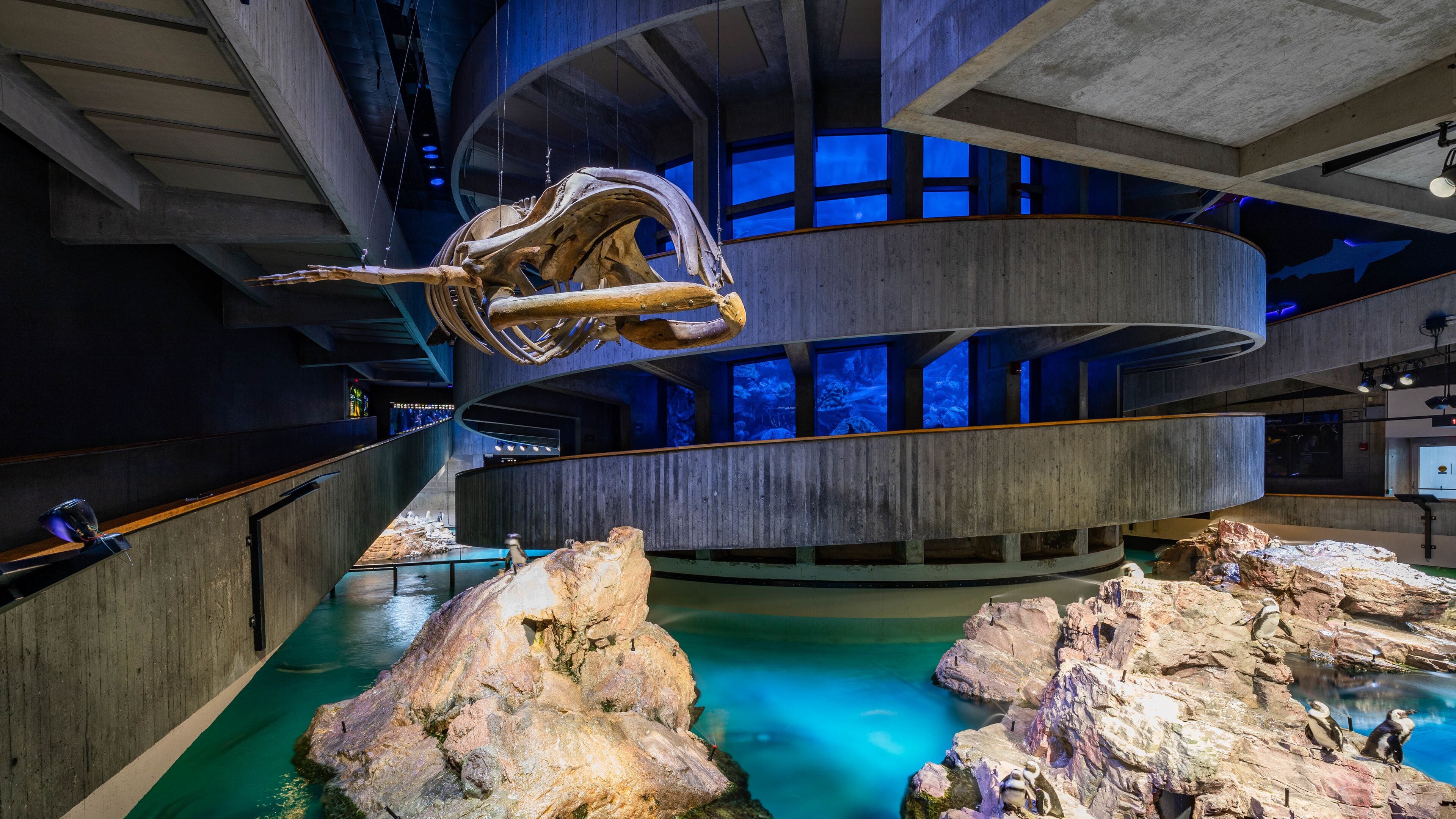 A large indoor aquarium with a suspended whale skeleton, rocky formations, and a central water feature.