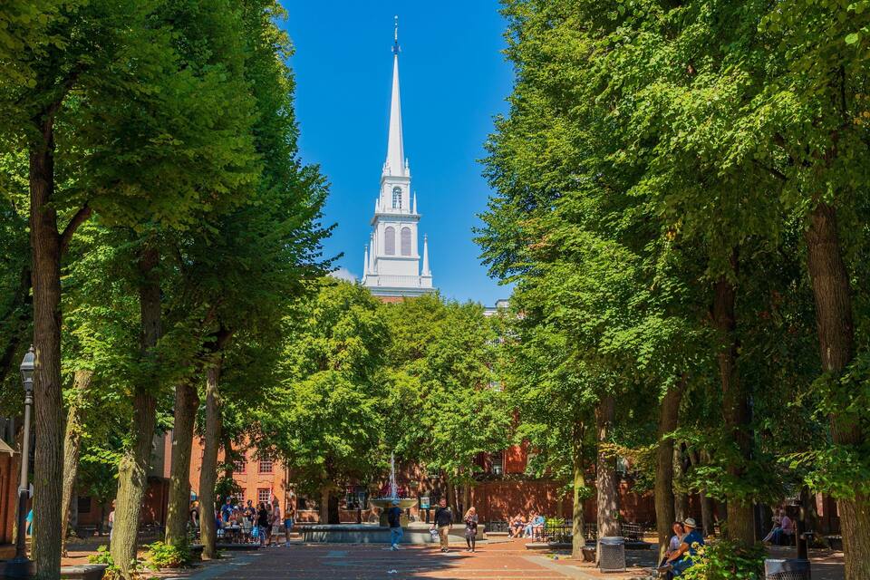 A tree-lined street with a prominent white church steeple in the background.