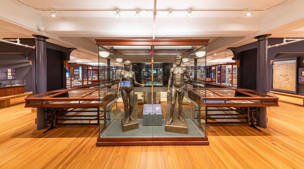 Peabody Museum of Archaeology and Ethnology which includes interior views and a statue or sculpture