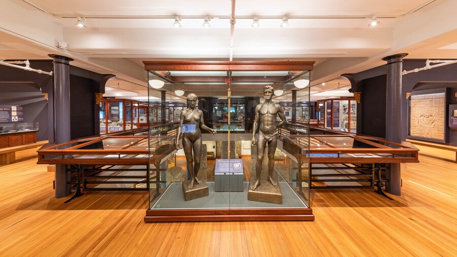 Peabody Museum of Archaeology and Ethnology which includes interior views and a statue or sculpture