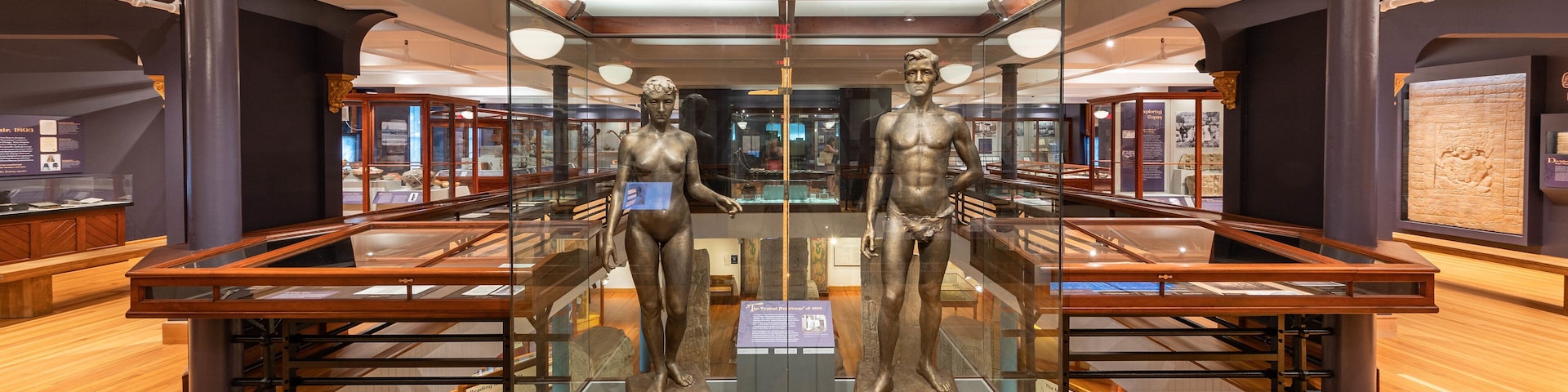 Peabody Museum of Archaeology and Ethnology which includes interior views and a statue or sculpture