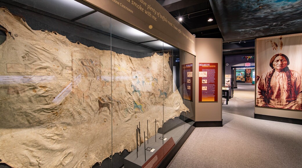 Peabody Museum of Archaeology and Ethnology which includes interior views