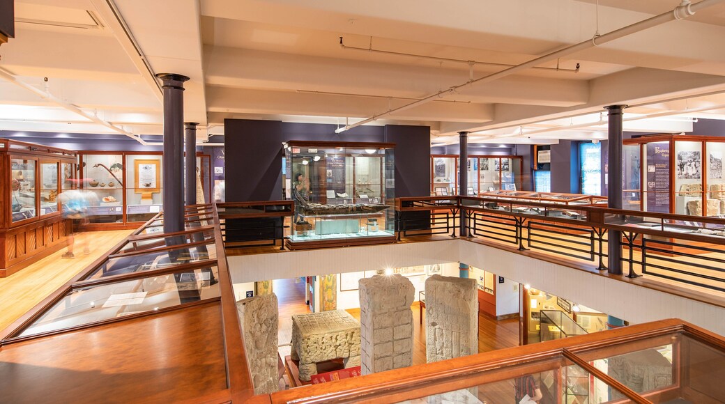 Peabody Museum of Archaeology and Ethnology featuring interior views