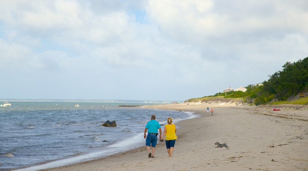 Breakwater Beach which includes a sandy beach as well as a couple