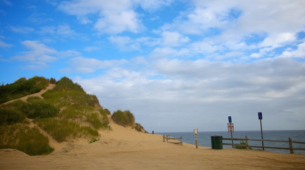 Cahoon Hollow Beach showing a sandy beach