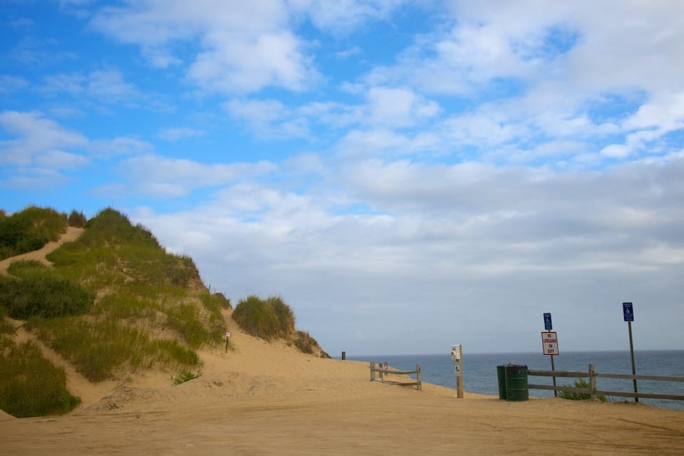 A sandy beach with a wooden fence, a lifeguard sign, and a wheelchair accessibility sign.