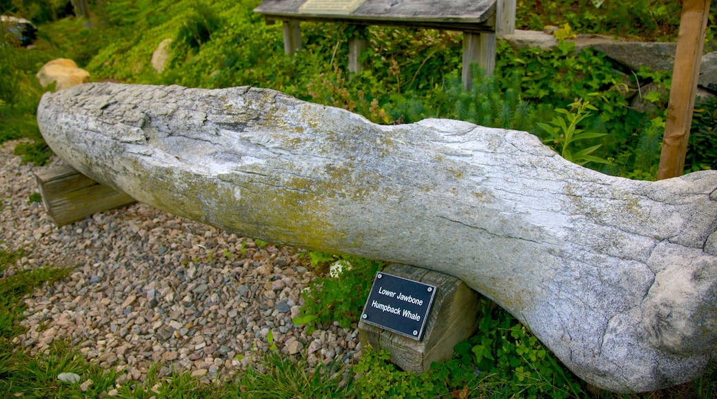 Cape Cod Museum of Natural History