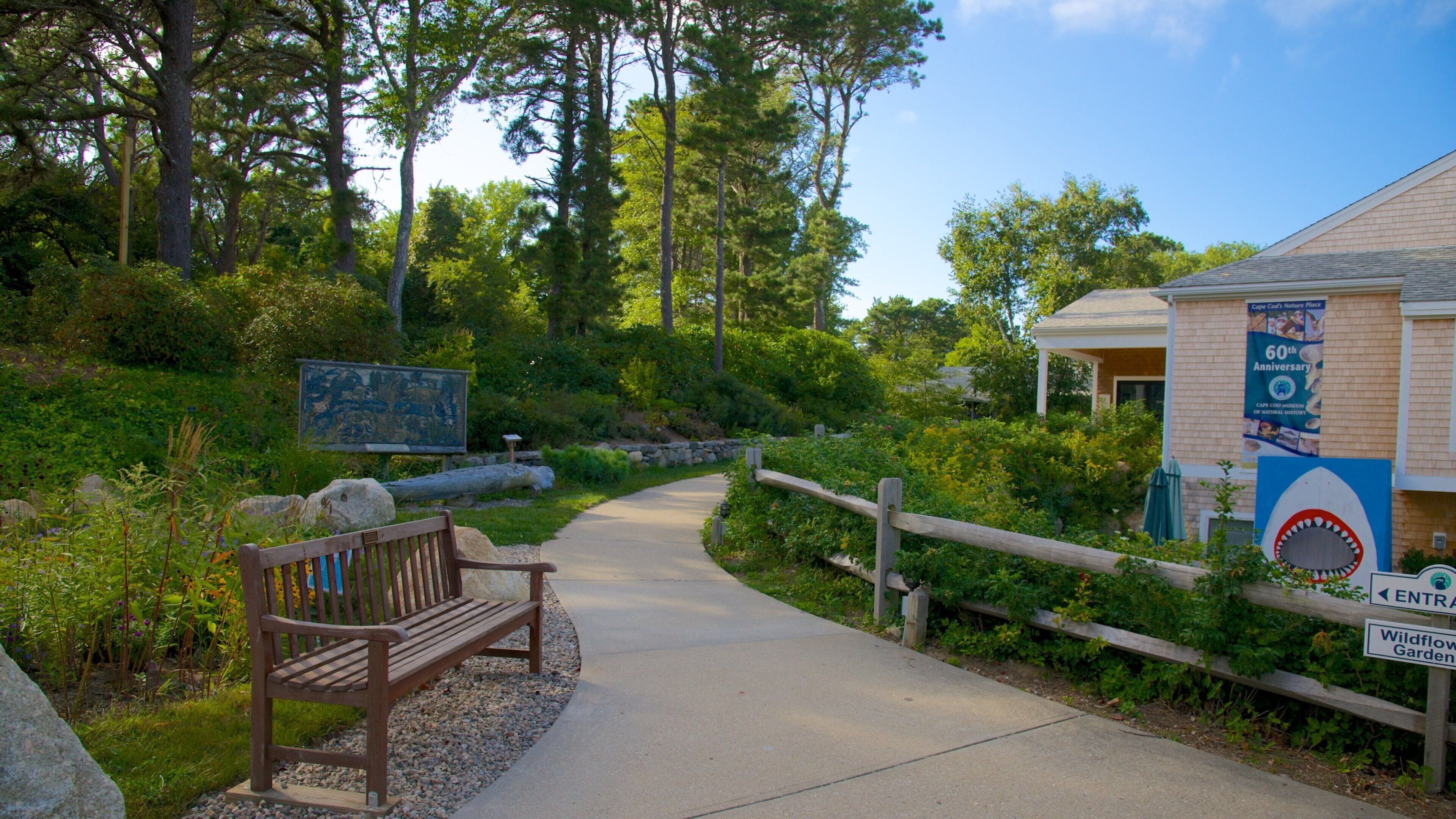 Cape Cod Museum of Natural History which includes a garden