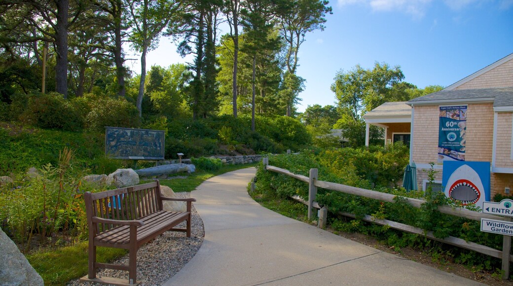 Cape Cod Museum of Natural History which includes a garden