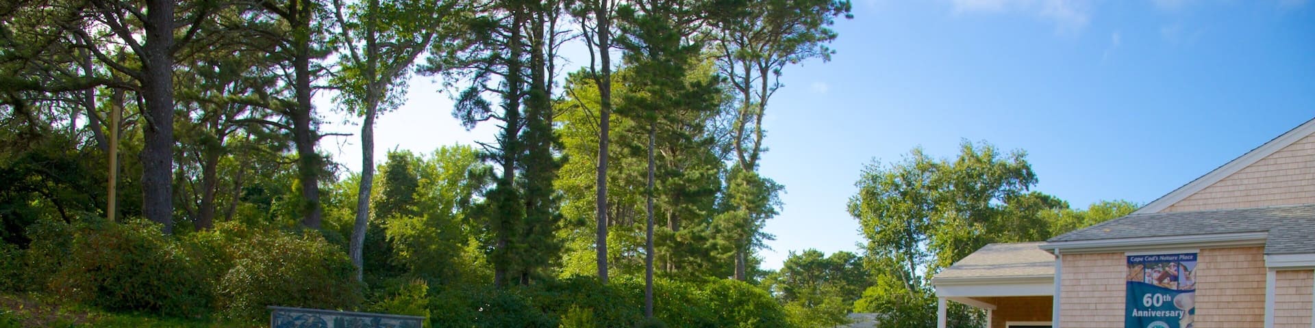 Cape Cod Museum of Natural History which includes a garden