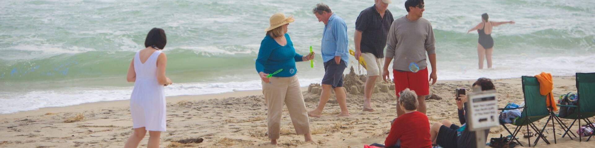 Coast Guard Beach montrant plage aussi bien que petit groupe de personnes