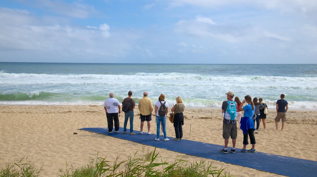 Coast Guard Beach fasiliteter samt strand i tillegg til en liten gruppe med mennesker