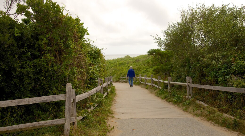 Coast Guard Beach showing hiking or walking