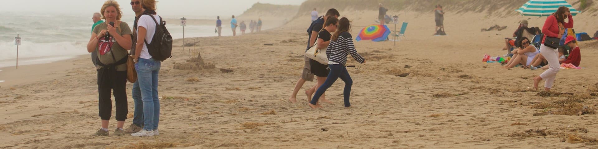 Coast Guard Beach which includes a sandy beach as well as a large group of people