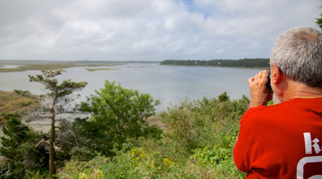 Coast Guard Beach showing general coastal views as well as an individual male