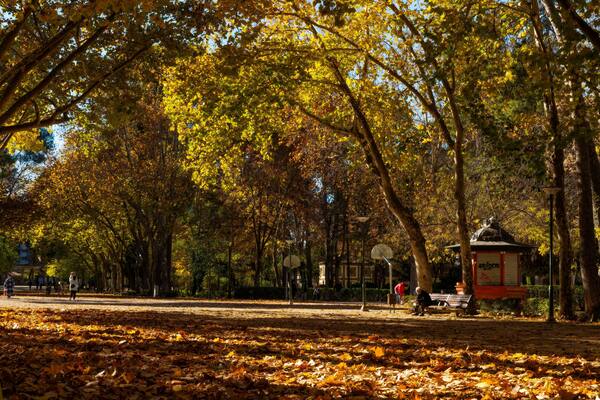 Parque Abelardo Sánchez Albacete