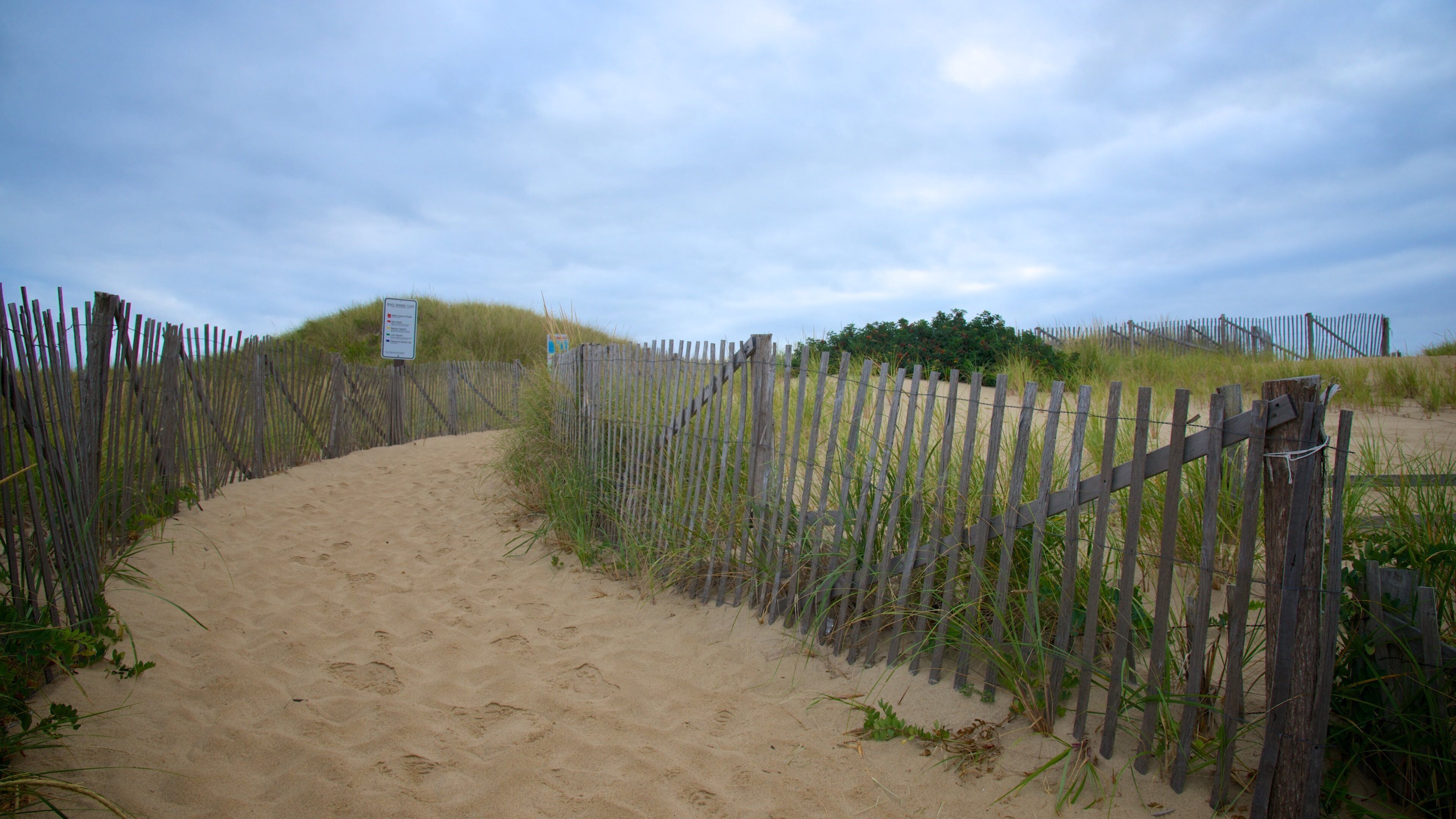 Head of the Meadow Beach ofreciendo vistas de una costa