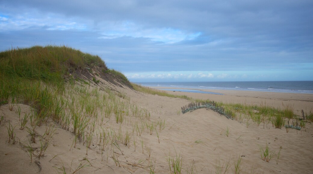 Head of the Meadow Beach que incluye una playa