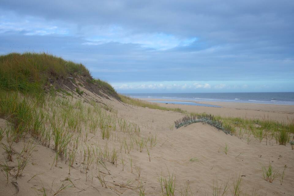 Ein Strand mit Dünen und einer Rasenfläche.