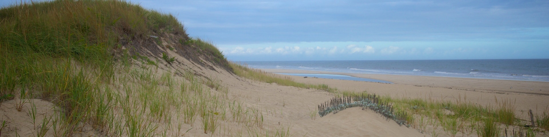 Head of the Meadow Beach mit einem Sandstrand
