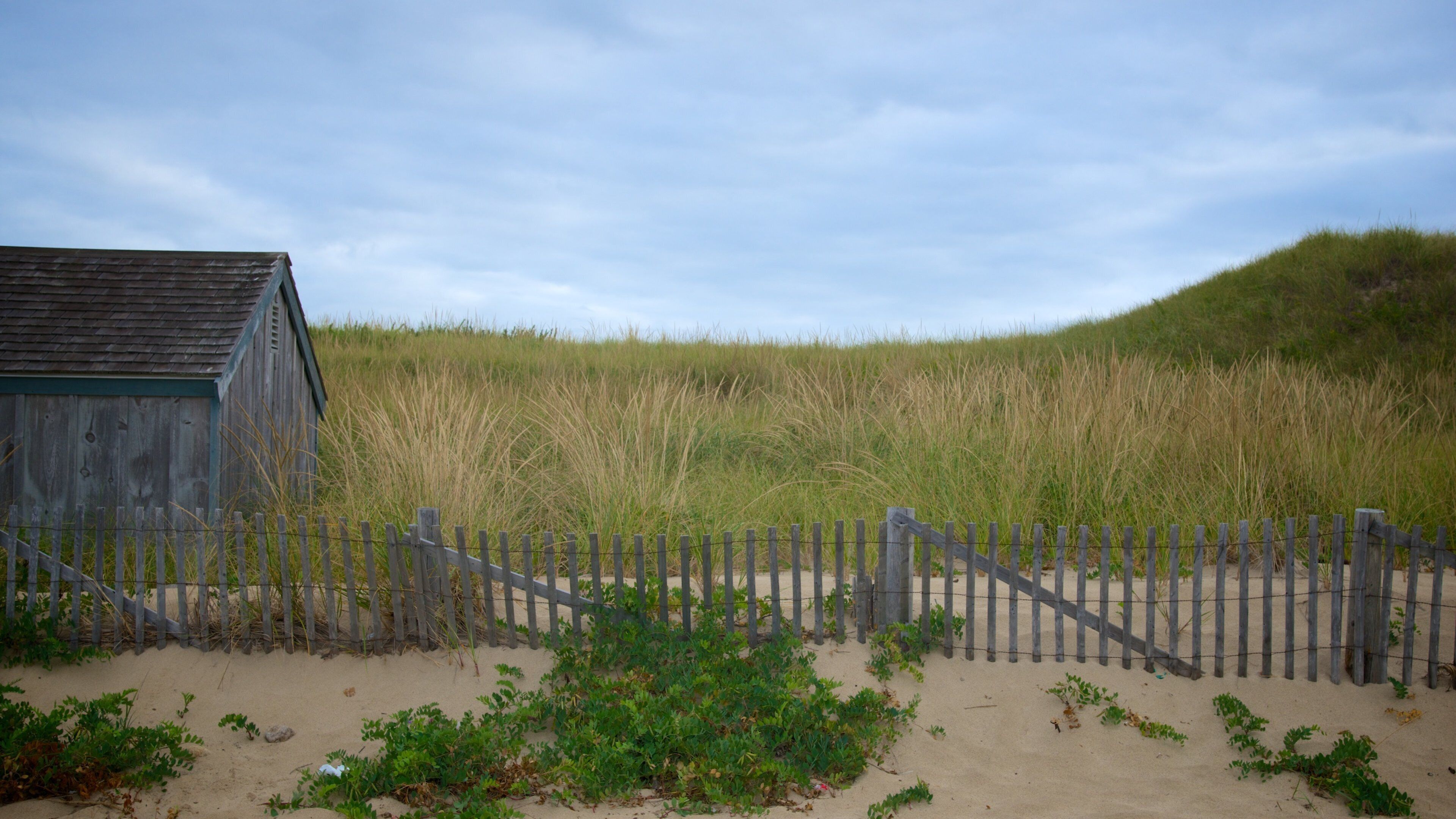 Head of the Meadow Beach mostrando vistas de una costa y situaciones tranquilas