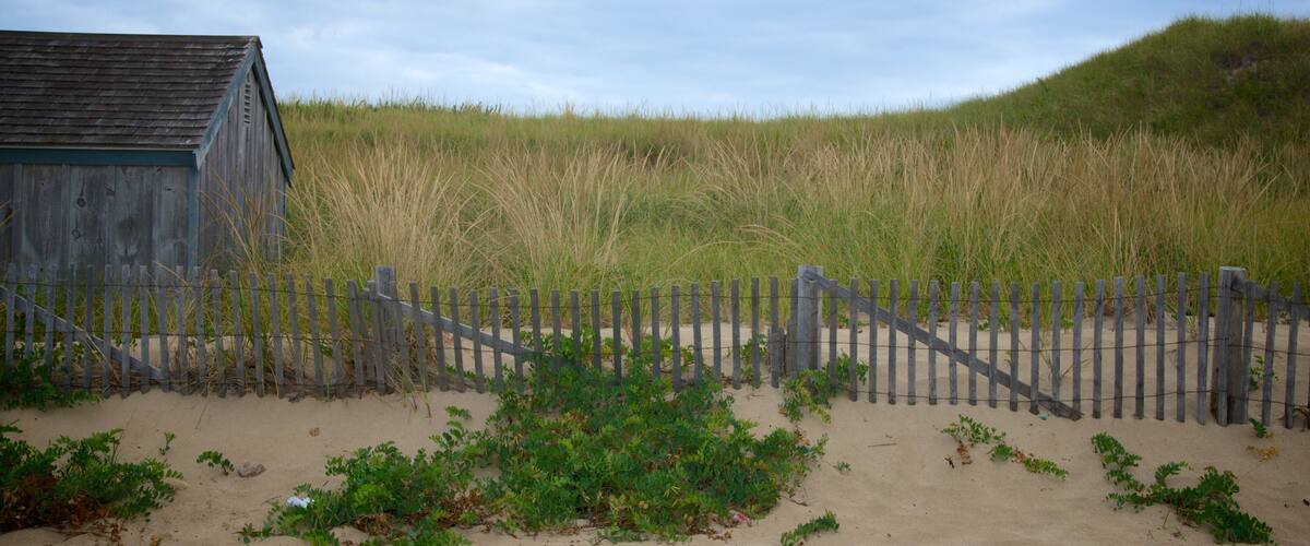 Head of the Meadow Beach montrant vues littorales et scĂšnes tranquilles