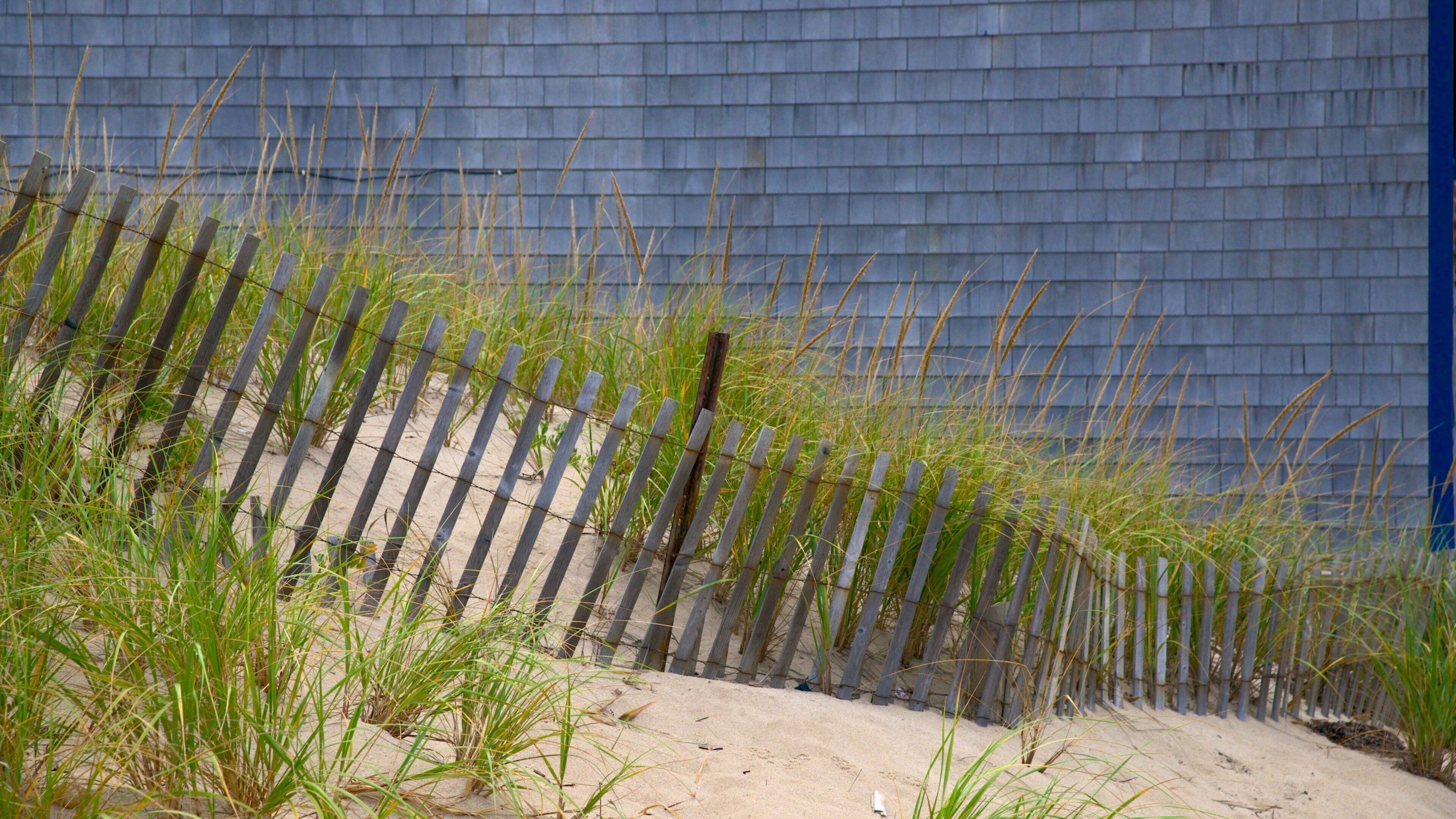 Head of the Meadow Beach som inkluderer sandstrand