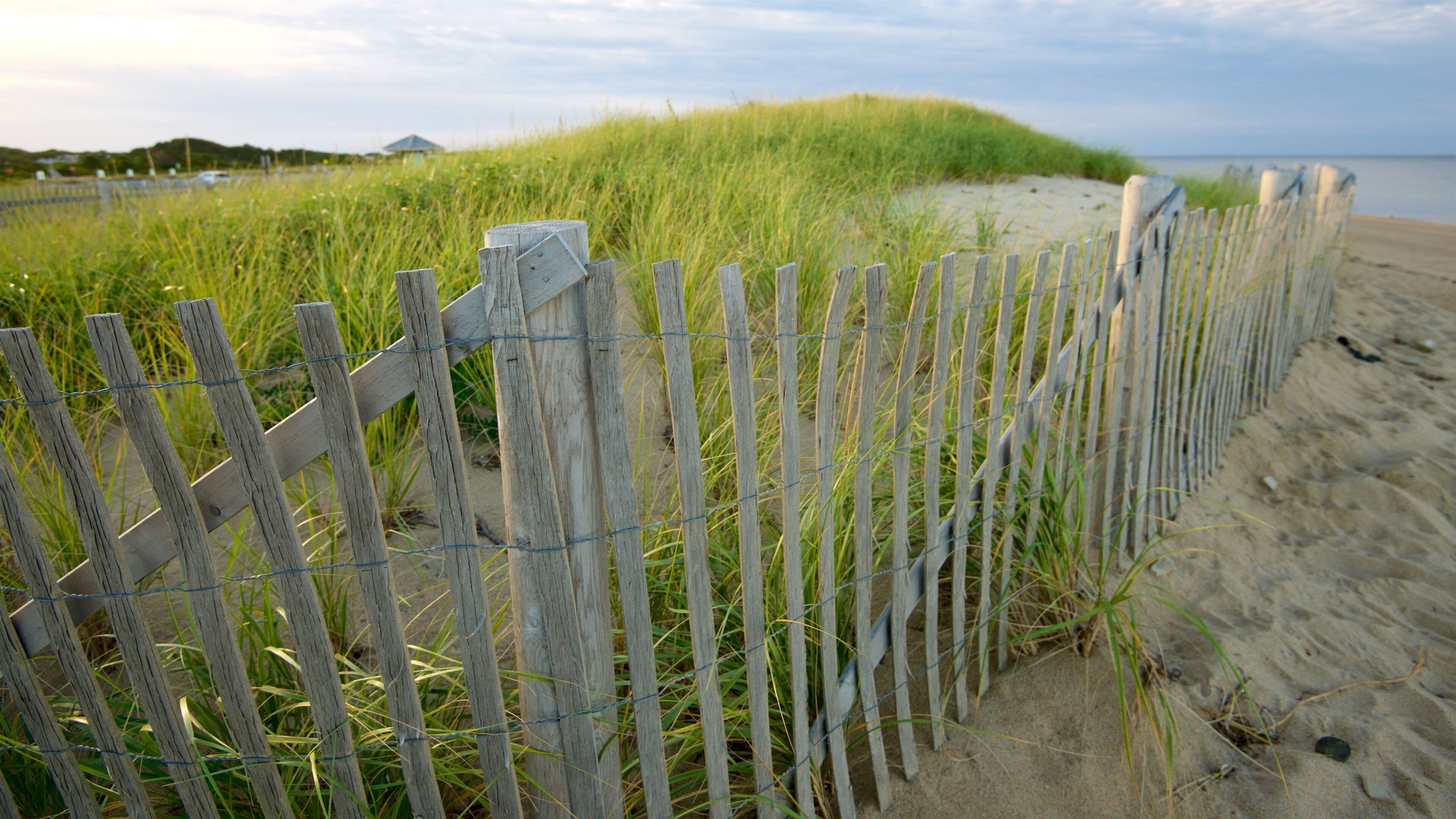 Herring Cove Beach which includes a beach