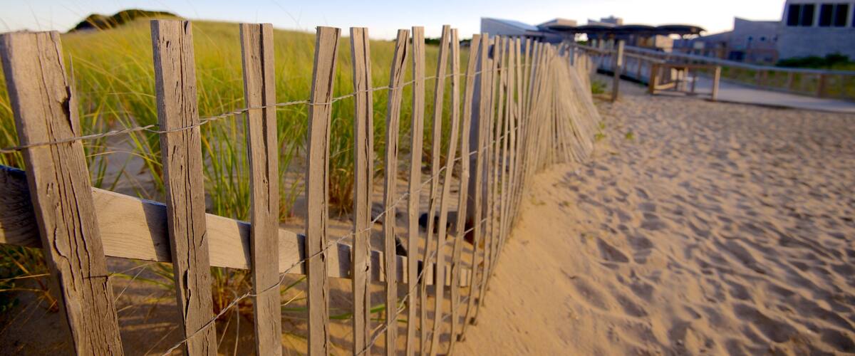 Herring Cove Beach ofreciendo una playa de arena