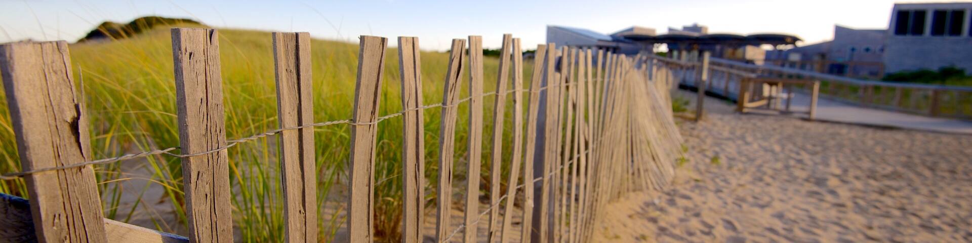 Herring Cove Beach showing a sandy beach