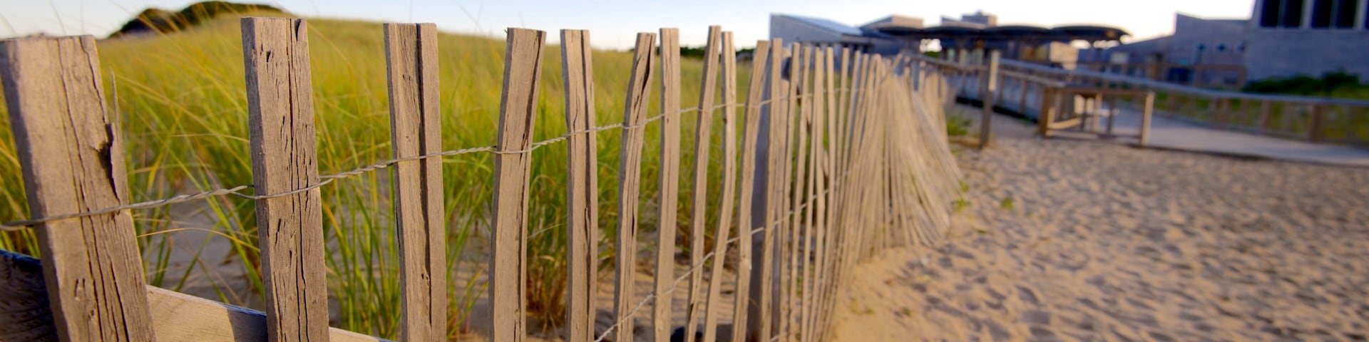Herring Cove Beach featuring a sandy beach