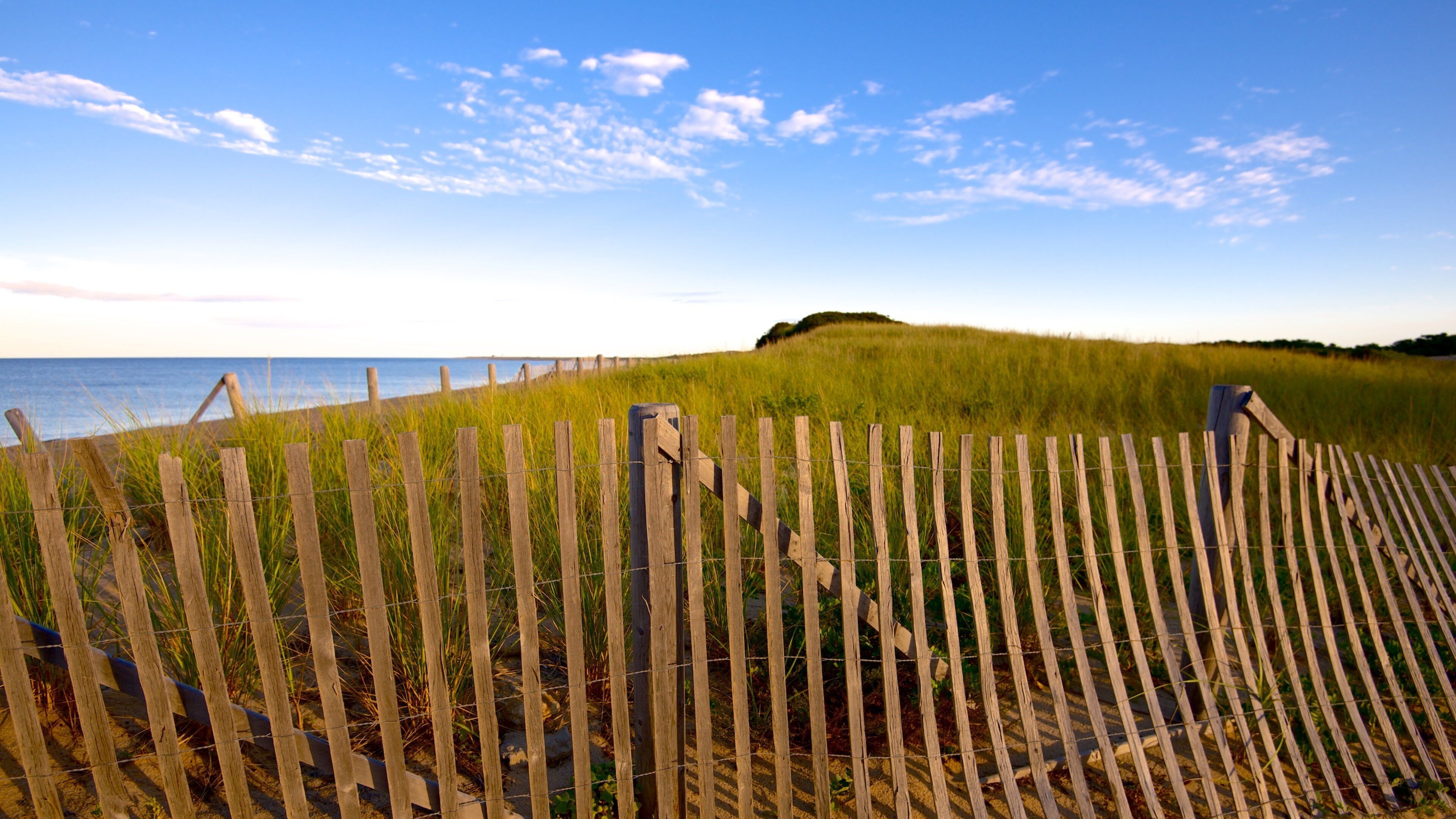 Herring Cove Beach que inclui cenas tranquilas e paisagens litorâneas