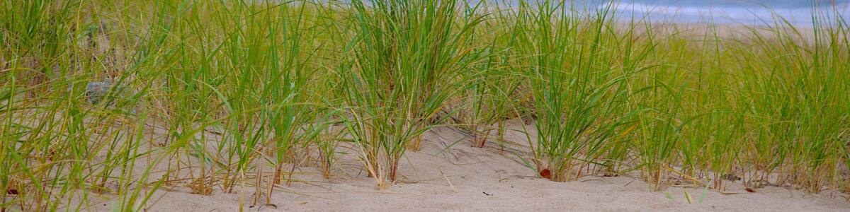 Highland Lighthouse which includes a beach