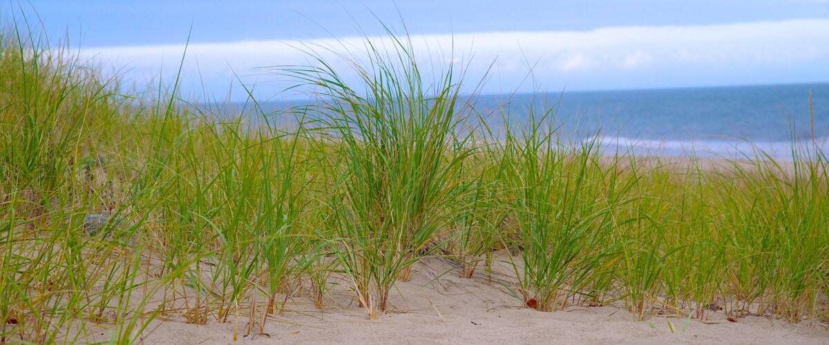 Vuurtoren van Highland inclusief een strand