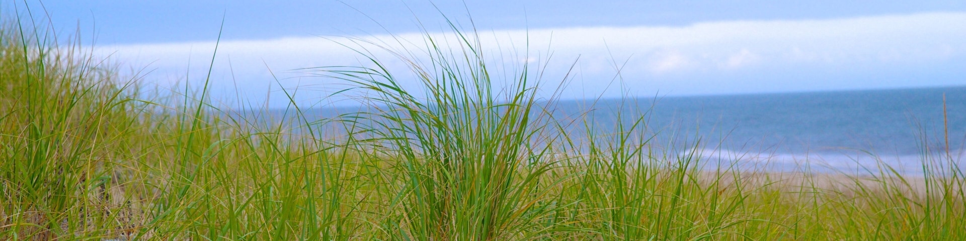 Highland Lighthouse which includes a beach