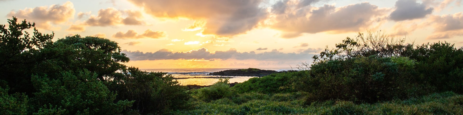 Landscape shot on an island in the Indian Ocean. This green meadow on the beach lies between the sea with sunrise over the horizon and lava rocks
Trou d'Eau Douce, Mauritius