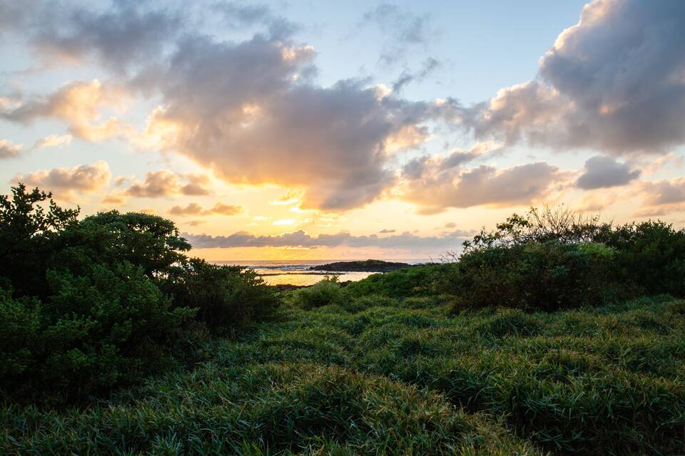 Un cel vespertí sobre un paisatge costaner amb vegetació abundant i una vista llunyana del mar.