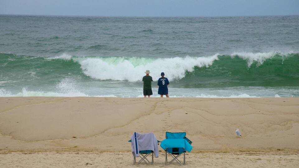 Nauset Beach toont een zandstrand en ook een stel