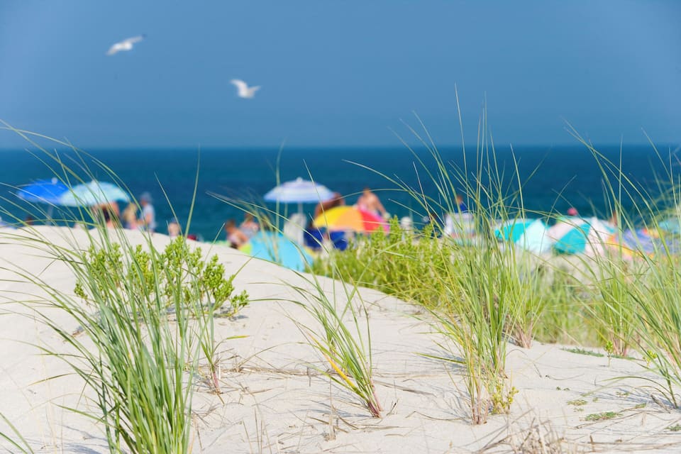 A beach with sand dunes and people in the background.