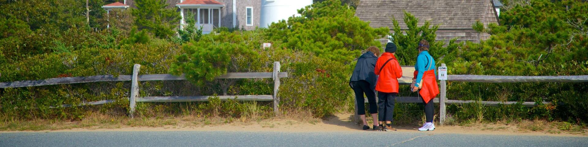 Nauset Light Beach showing a lighthouse as well as a small group of people