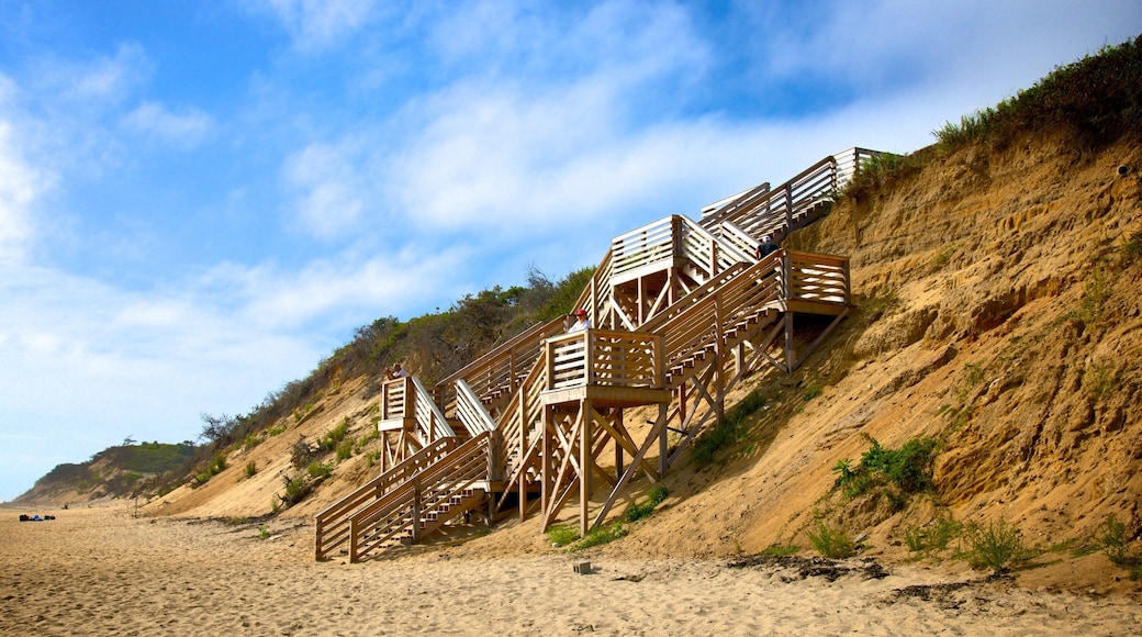 Orleans showing a sandy beach