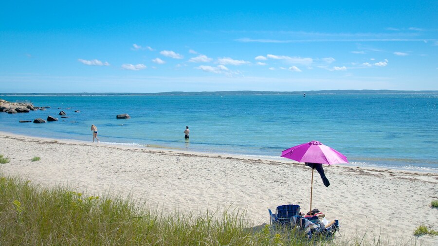 Nobska Lighthouse que incluye una playa