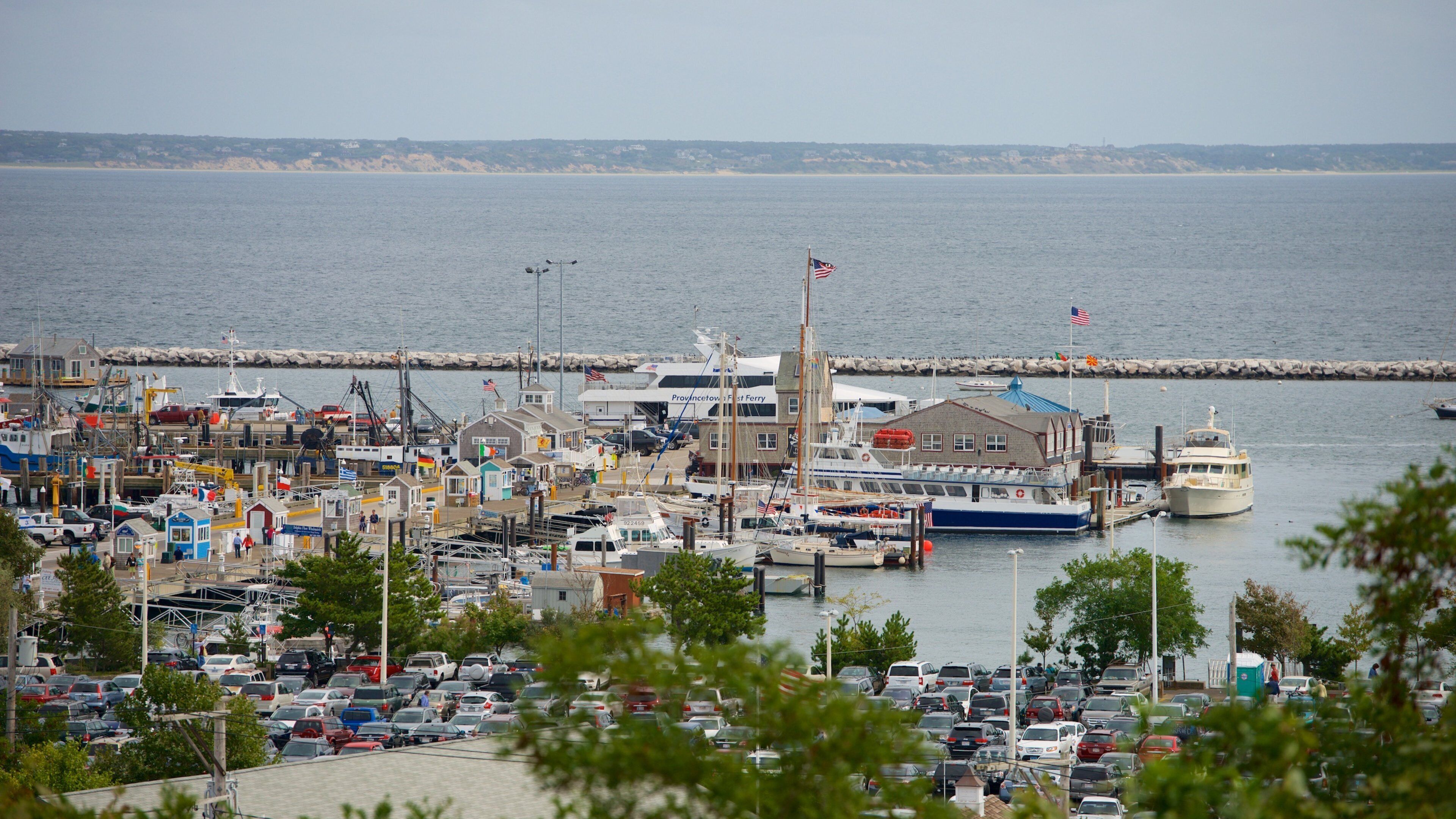 Pilgrim Monument que incluye una bahía o puerto
