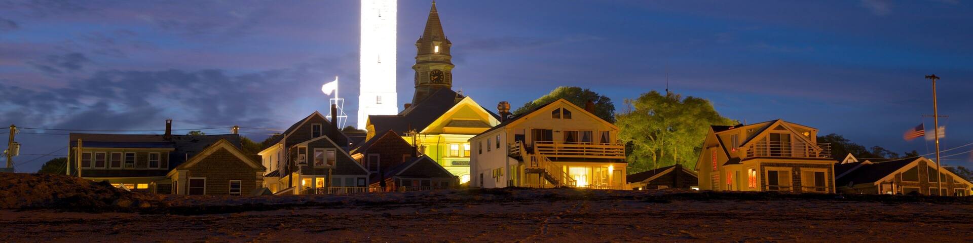 Pilgrim Monument featuring a small town or village